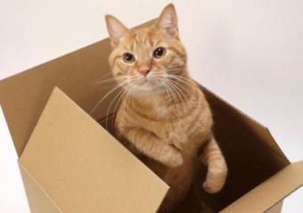 Home Hardware ������� ��������� ����