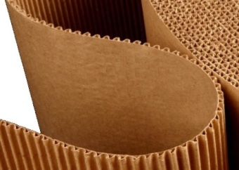 $9,5 ���� ― �������������� ����� ����� �������� � 2017 ����